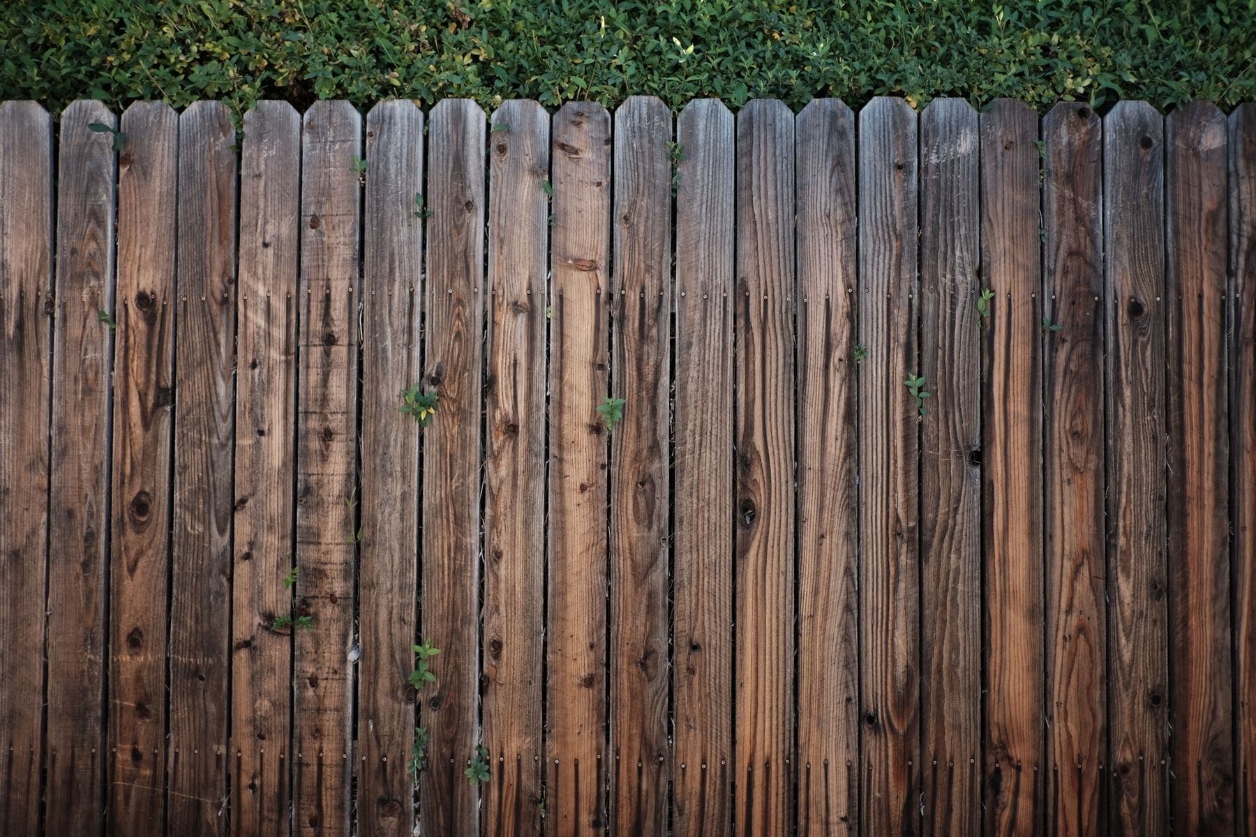 Timber fence finished with a protective stain