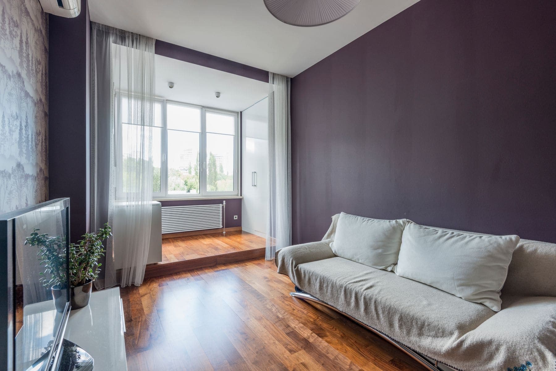 Living room with a deep-toned painted feature wall