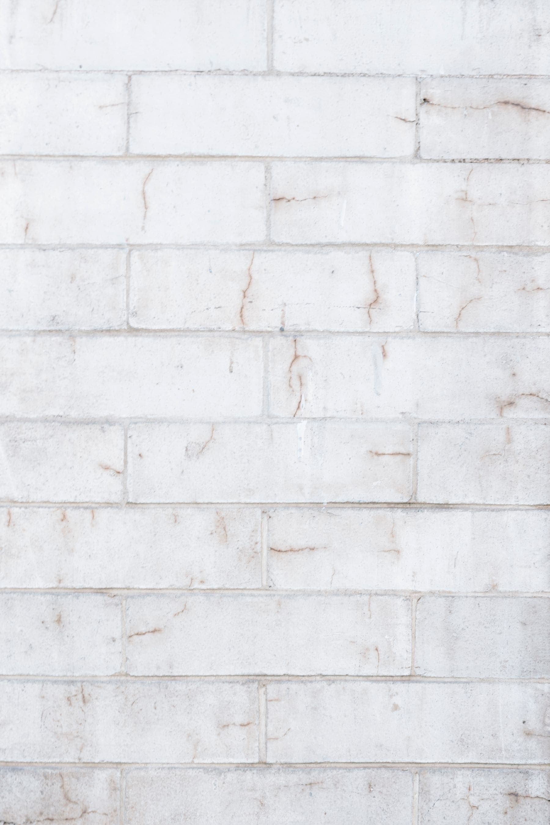 Smooth pale wall, primed and ready for fresh paint